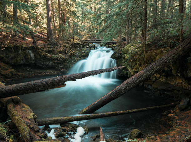 istock Long exposure of a waterfall in the pacific northwest rain forest with several broken logs 1070162072