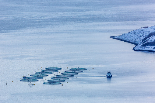 Fish farms in northern Norway, winter time