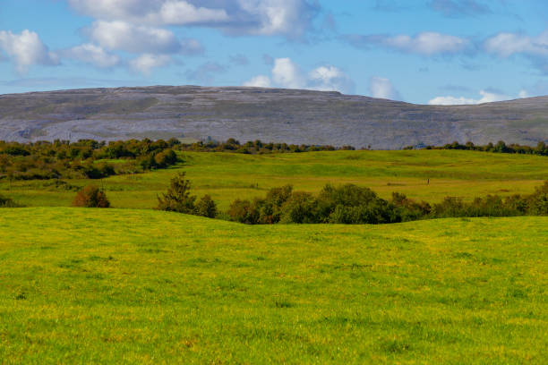 istock Burren mountains and vegetation in Kinvarra 1070173866