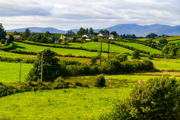 pole rolnicze w greenway trasa z castlebar do westport - castlebar zdjęcia i obrazy z banku zdjęć