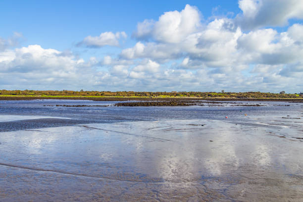 istock Kinvarra bay with vegetation and cloud reflection 1070176158