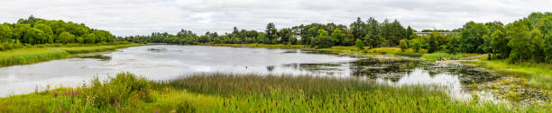 istock Panorama of a lake with tree reflection in a cloudy day 1070178026