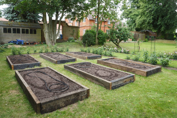 istock Raised beds in vegetable garden 1070179336