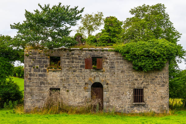 ruiny kamiennego irlandzkiego domu przejętego przez roślinność - castlebar zdjęcia i obrazy z banku zdjęć