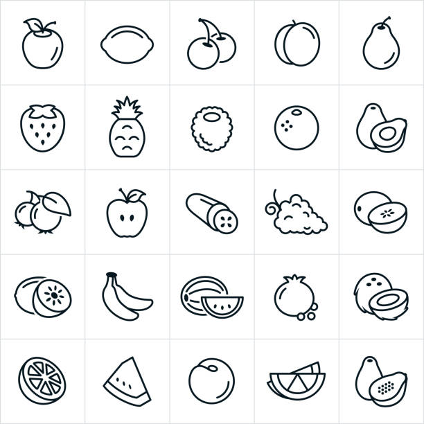 фруктовые иконки - apple fruit vector line art stock illustrations