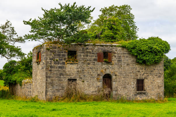 ruiny kamiennego irlandzkiego domu przejętego przez roślinność - castlebar zdjęcia i obrazy z banku zdjęć