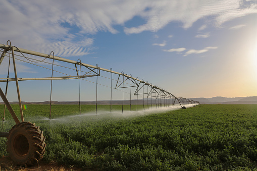 irrigation system in agriculture in the desert of Jordan