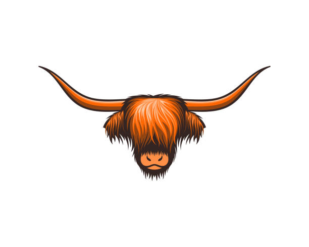 illustrazioni stock, clip art, cartoni animati e icone di tendenza di mucca pelosa - cute cow vector animal