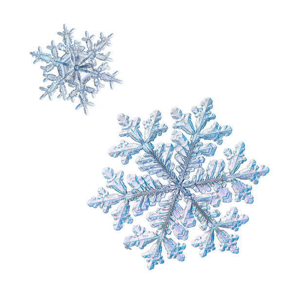 istock Two snowflakes isolated on white background 1070190714