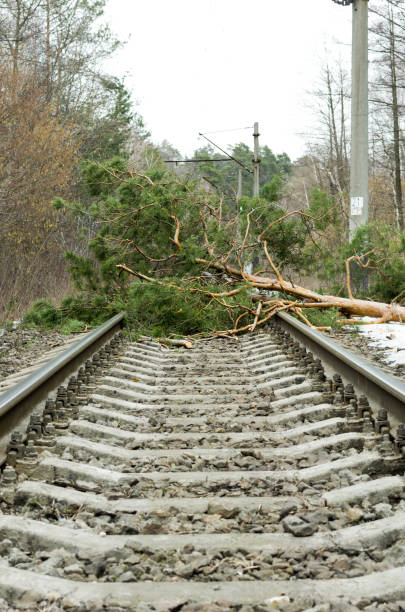 istock The road lined up. The railway is blocked. Directions closed. 1070194290