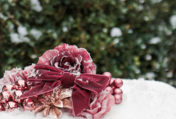 Elegant Rose and Velvet Ribbon on christmas tree in the Snow