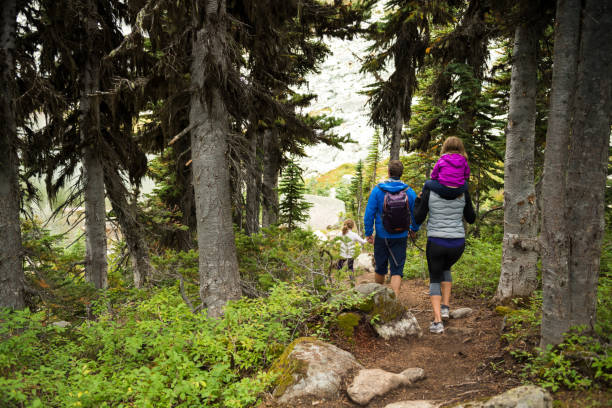 istock Family enjoying a hike in the forest 1070210434