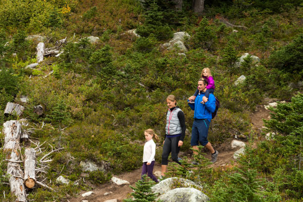 istock Family enjoying a hike in the mountains 1070210524