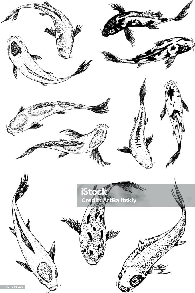 Hình xăm chú cá chép Koi là 1 trong trong mỗi mô hình xăm phổ cập nhất. Biểu tượng của sự việc chắc chắn, kiên trì và thành công xuất sắc, chú cá chép Koi thông thường được design trong không ít sắc tố và hình dạng không giống nhau. Nếu bạn thích hiểu tăng về ý nghĩa sâu sắc và phát minh của hình xăm chú cá chép Koi, cho tới coi những hình hình ảnh đẹp nhất và đa dạng.