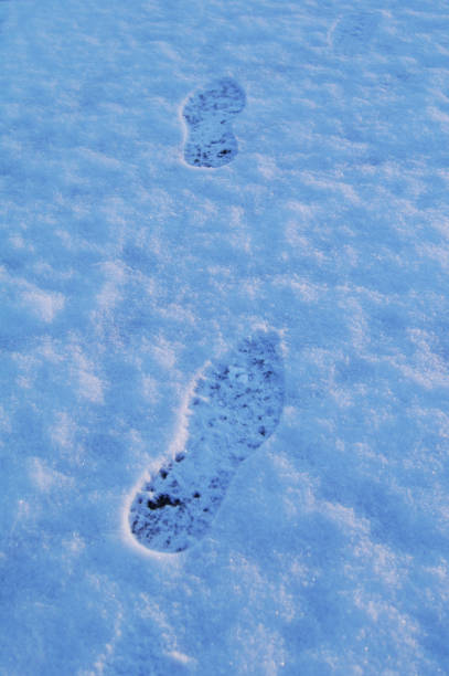 istock Footprints in the Winter Snow 1070223222