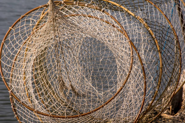 istock The fishing net 1070226010