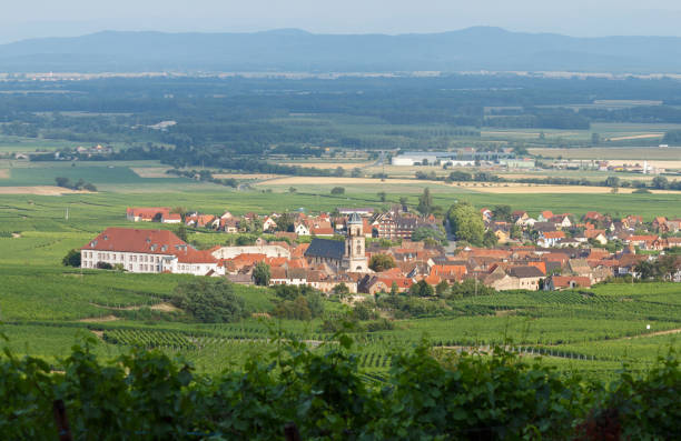 paesaggio francese: il villaggio di sant'ippolito tra i vigneti dell'alsazia - st hippolyte foto e immagini stock