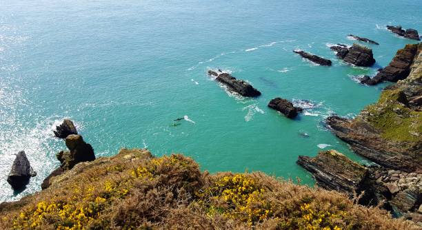istock Beautiful exotic view in Wales. 1070228978