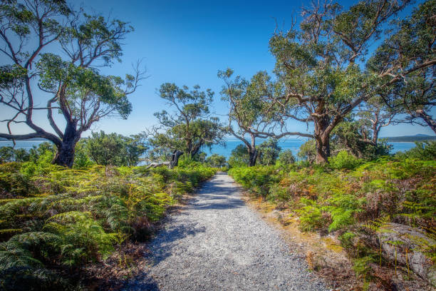 The hiking trail to Millers Landing at Wilson's Promontory National Park