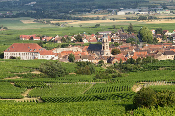 paesaggio francese: il villaggio di sant'ippolito tra i vigneti dell'alsazia - st hippolyte foto e immagini stock