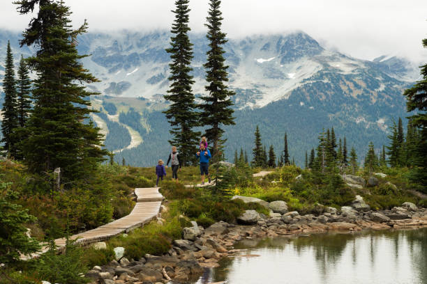 istock Family enjoying a hike in the mountains 1070240440