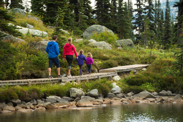 istock Family enjoying a hike in the mountains 1070240536