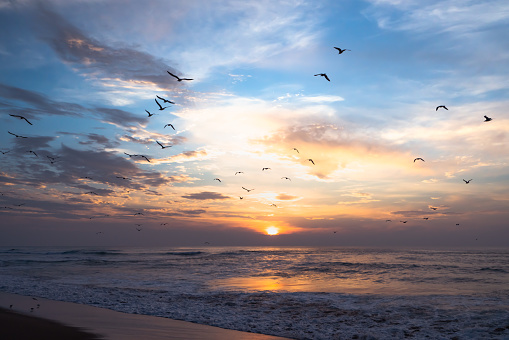 Beautiful seascape with flying birds, beautiful shoreline and colorful sky during sunset
