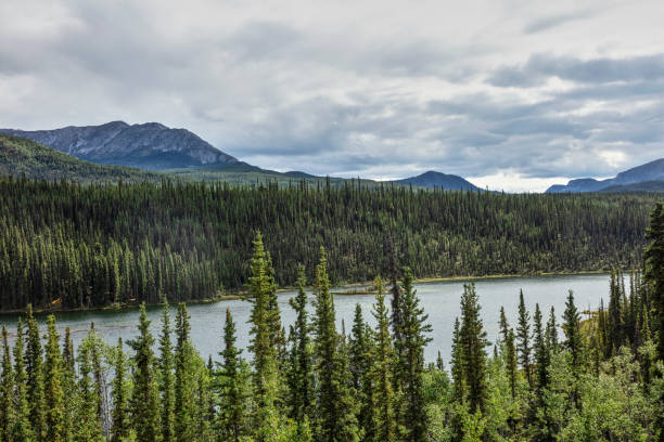 istock Good Hope Lake - British Columbia 1070244442