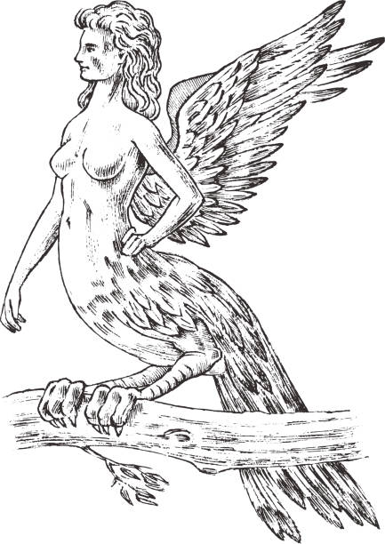 Antique Harpy. Woman Bird Eagle. Mythical Greek monster. Mythological animal. Fantastic creatures in the old vintage style. Engraved hand drawn old sketch. Antique Harpy. Woman Bird Eagle. Mythical Greek monster. Mythological animal. Fantastic creatures in the old vintage style. Engraved hand drawn old sketch harpy eagle stock illustrations