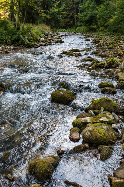 istock mountain river in Slovakia 1070262674