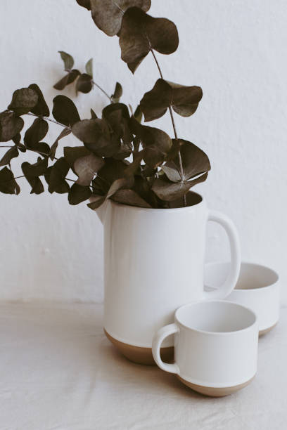istock Branches of eucalyptus in vase on table on light background. 1070263488