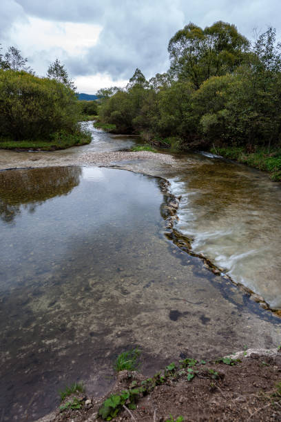istock mountain river in Slovakia 1070266090