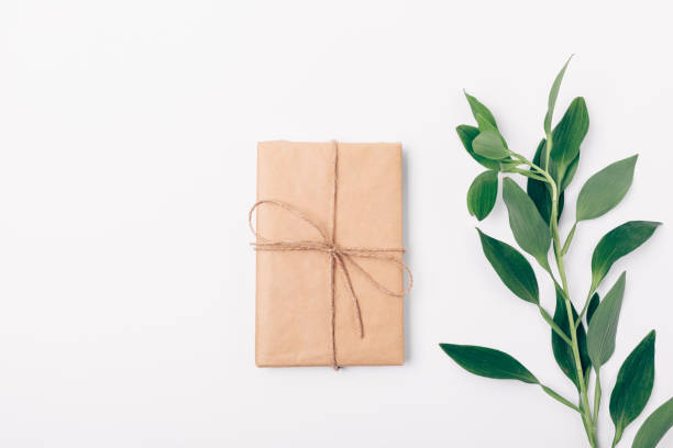istock Gift box and green twig on white background 1070270052