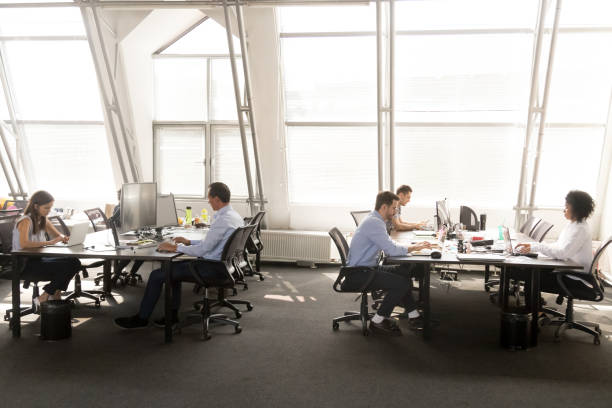 istock Diverse employees focused on working on desktops in shared office 1070271776