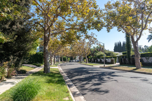 istock Los angeles neighborhood 1070271868