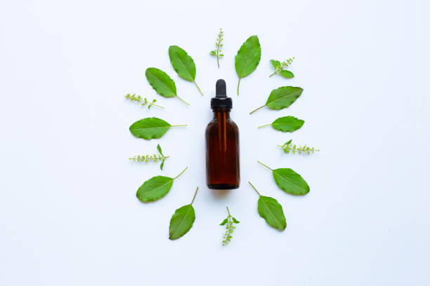 istock Holy Basil Essential Oil in a Glass Bottle with Fresh Holy Basil 1070278874
