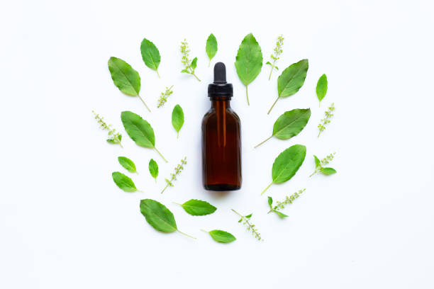 istock Holy Basil Essential Oil in a Glass Bottle with Fresh Holy Basil 1070278938