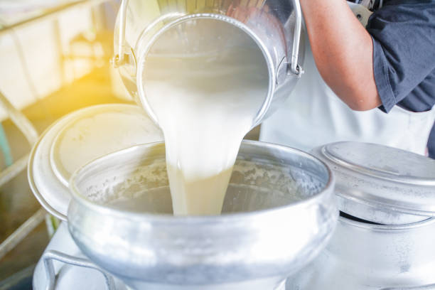 istock Worker pouring milk into  the container tank for transform. 1070283950