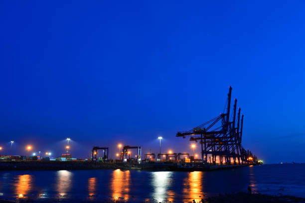 Port crane bridge and bulk carrier