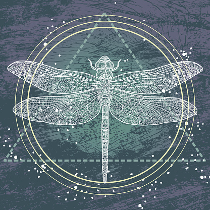 Sacred Geometry Dragonfly