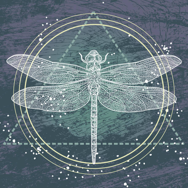Sacred Geometry Dragonfly vector art illustration