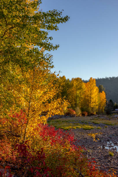 istock Autumn colors in the deciduous trees and a cabin by the river 1070335328