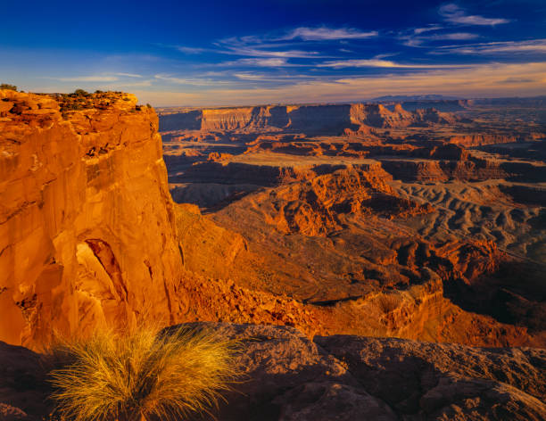 istock Eroded red rock formations Canyonlands NP. Utah 1070336896
