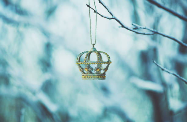 Gold Christmas crown on snow covered branch