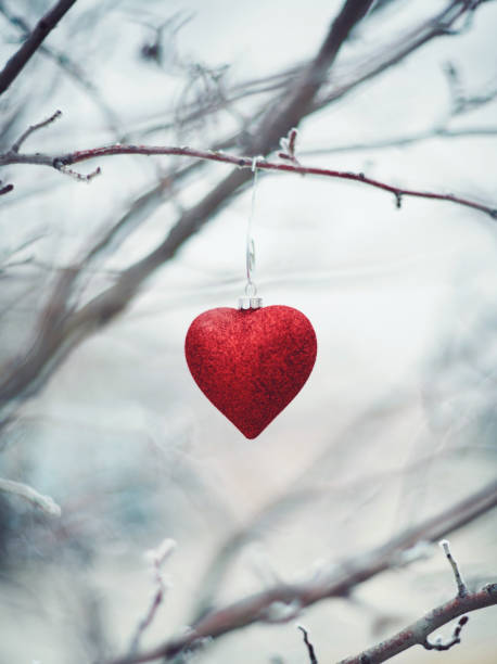 istock Heart shaped Christmas ornament on snowy branches 1070352980