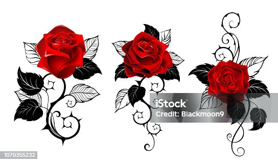 191 Three Flowers Tattoo Stock Photos, Pictures & Royalty-Free Images -  iStock