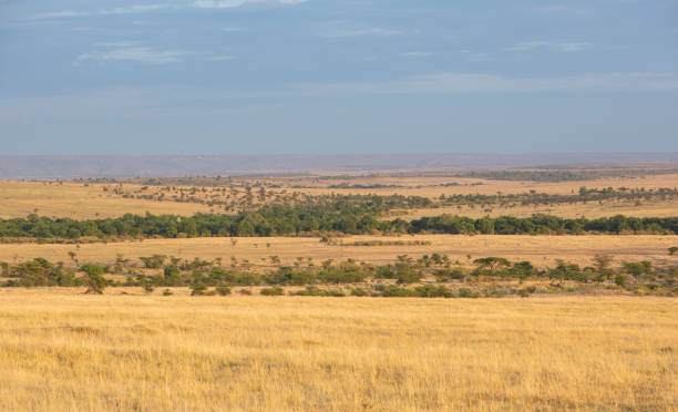 istock African landscape. Masai Maea Kenya. 1070357278