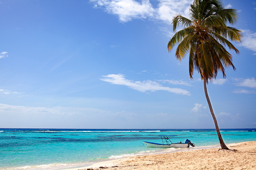 One palm tree on the beach with white sand, boat at the shore, blue sea and sky with clouds background
