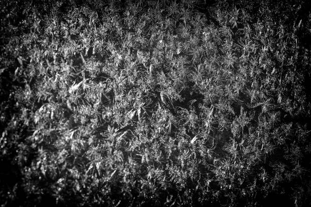 istock Texture, background, pattern. Frosty pattern on the glass. Macro shot from Snowflake. Abstract winter background. This is frosty pattern on glass winter window. 1070365412