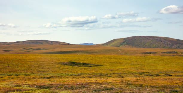 istock Dalton Highway Alaska 1070377762